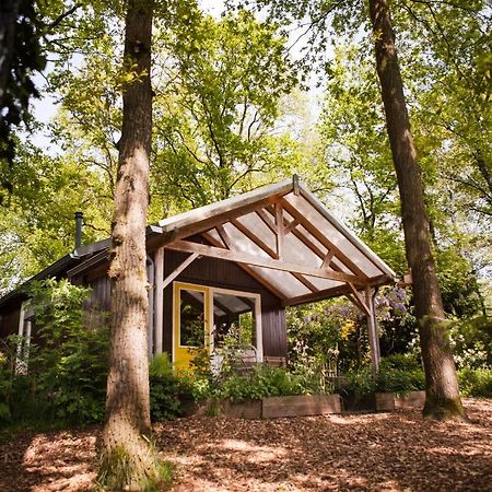 Knus Boshuisje Onder De Eiken Ermelo Kültér fotó