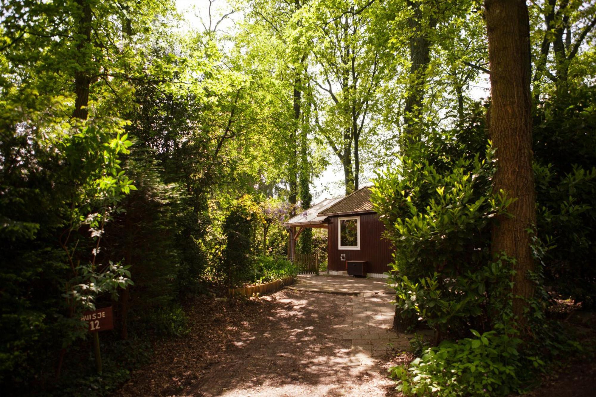 Knus Boshuisje Onder De Eiken Ermelo Kültér fotó